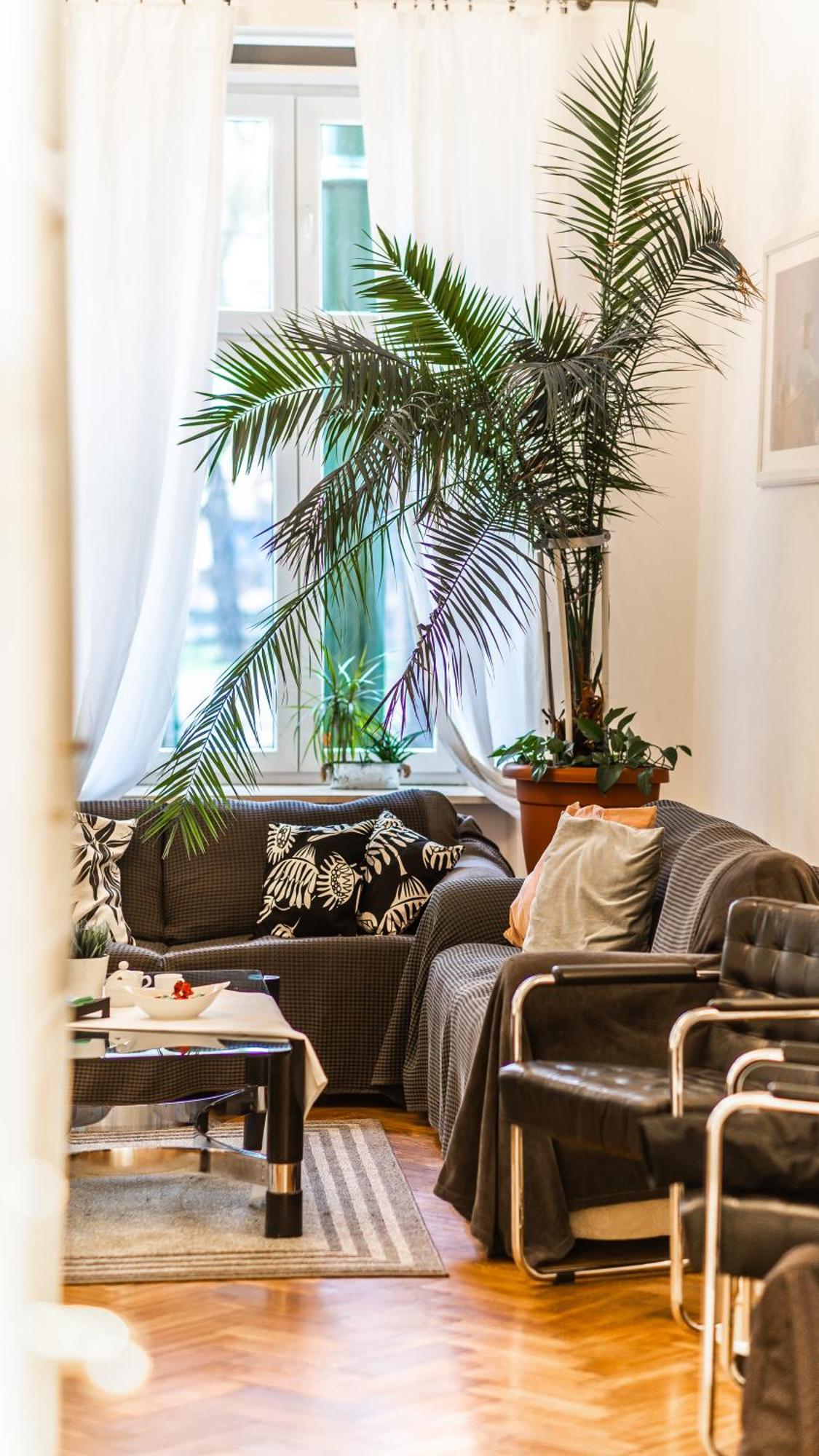 Two-Bedroom Apartment Westerplatte street